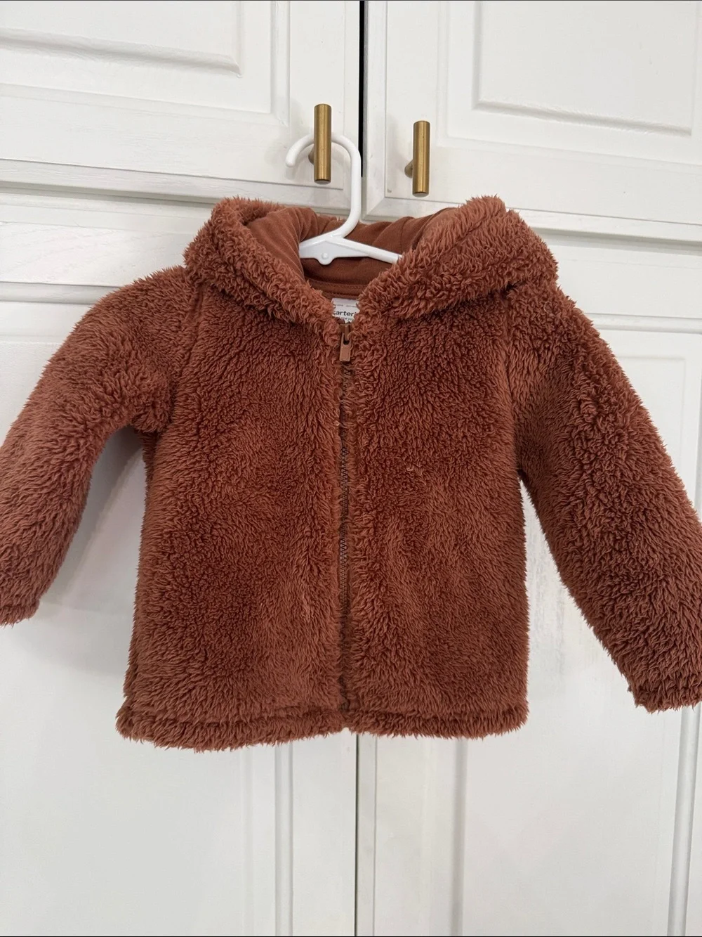 Carter's Cozy Plush Hoodie in Rust